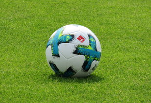 详细阅读:开云体育网址-德甲防守战术转变对定位球防守效果的影响分析,德国足球防守大师 开云体育网址-德甲防守战术转变对定位球防守效果的影响分析,德国足球防守大师