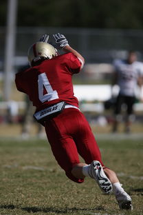 开云官方网-五大联赛争四阶段关键球员贡献值差异对比，五大联赛引援